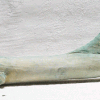Fisch04-137cm.gif